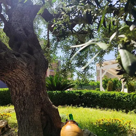 L'ulivo Couette-café 4*