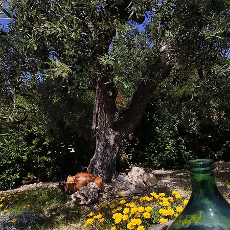 Couette-café L'ulivo Trani