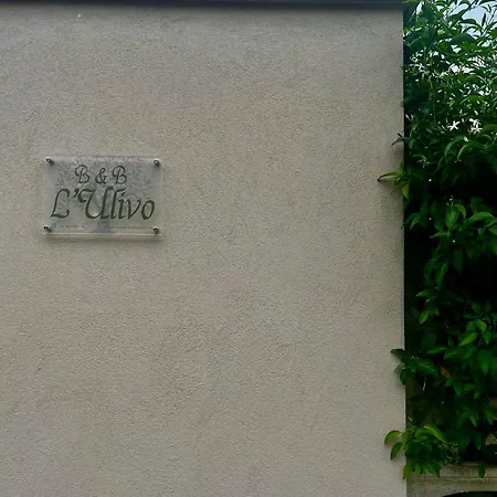 L'ulivo Frühstückspension Trani